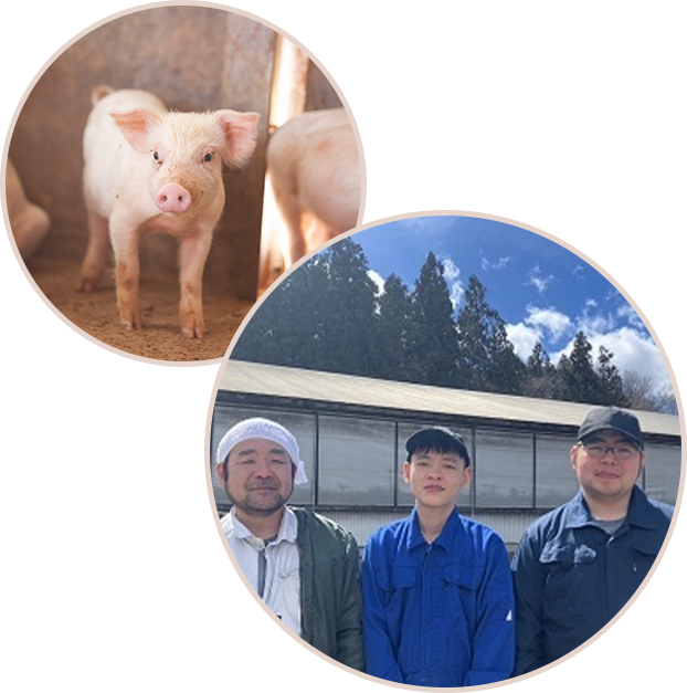 採用情報